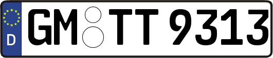 GM-TT9313