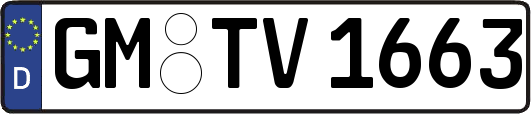 GM-TV1663