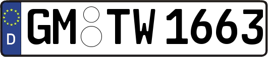 GM-TW1663