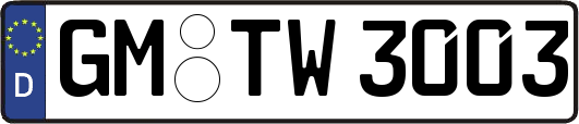 GM-TW3003