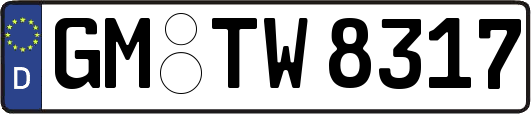 GM-TW8317