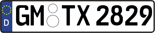 GM-TX2829