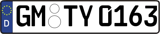 GM-TY0163