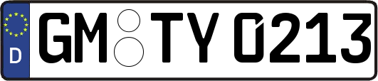 GM-TY0213