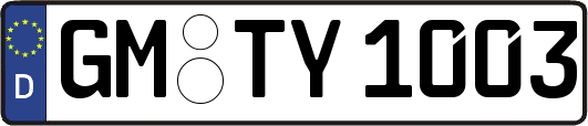 GM-TY1003