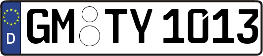 GM-TY1013