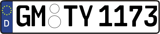 GM-TY1173