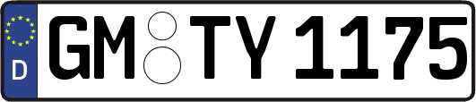 GM-TY1175