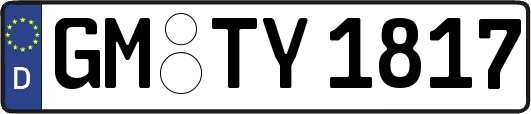 GM-TY1817