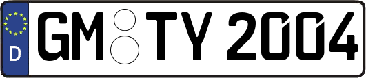 GM-TY2004