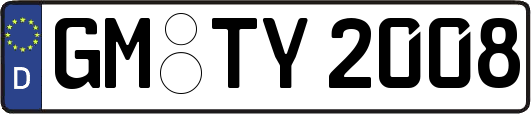 GM-TY2008