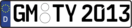 GM-TY2013