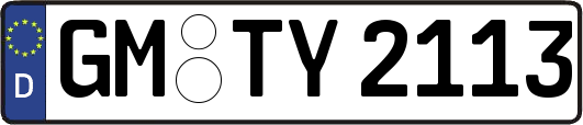 GM-TY2113