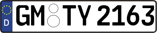 GM-TY2163