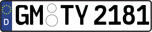 GM-TY2181