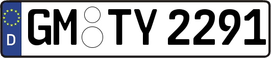 GM-TY2291