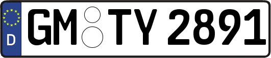 GM-TY2891