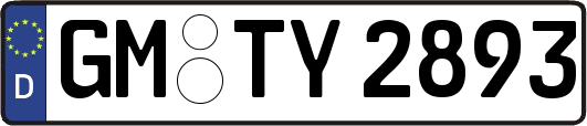 GM-TY2893