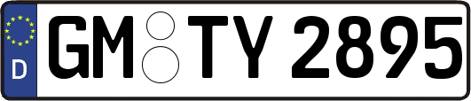 GM-TY2895