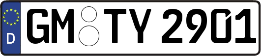 GM-TY2901