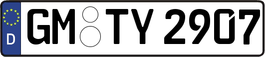 GM-TY2907