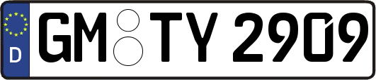 GM-TY2909