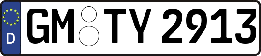 GM-TY2913