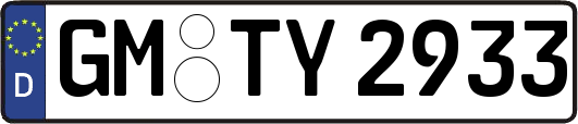 GM-TY2933