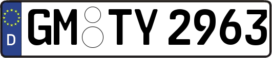 GM-TY2963
