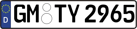 GM-TY2965