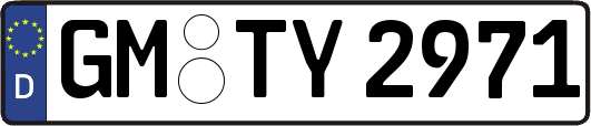 GM-TY2971