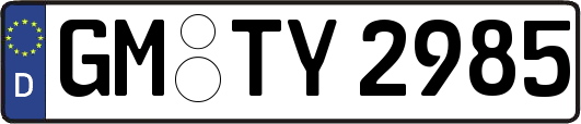 GM-TY2985