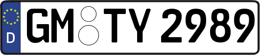 GM-TY2989