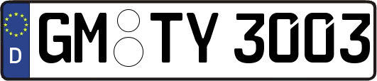 GM-TY3003