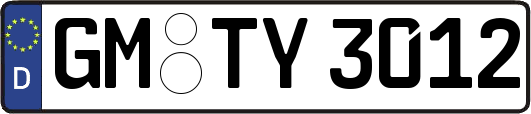 GM-TY3012