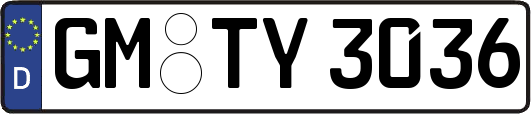 GM-TY3036