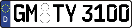 GM-TY3100