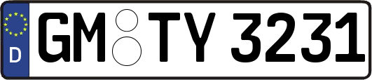 GM-TY3231