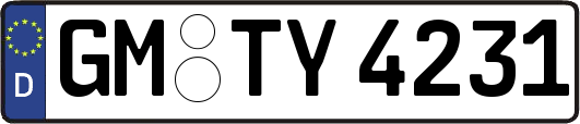 GM-TY4231