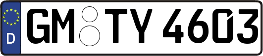 GM-TY4603