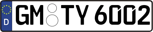 GM-TY6002