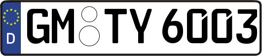 GM-TY6003
