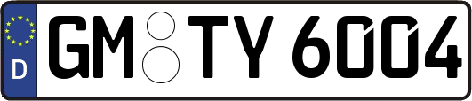GM-TY6004