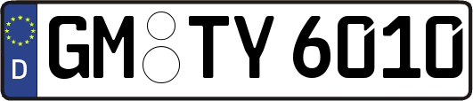 GM-TY6010