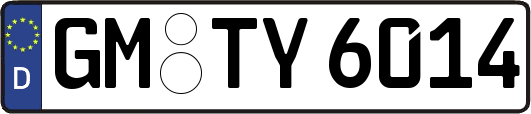 GM-TY6014