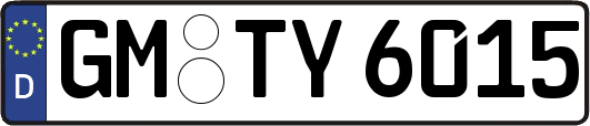 GM-TY6015