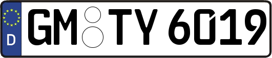 GM-TY6019