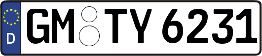 GM-TY6231