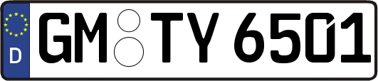 GM-TY6501