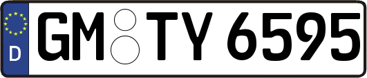 GM-TY6595